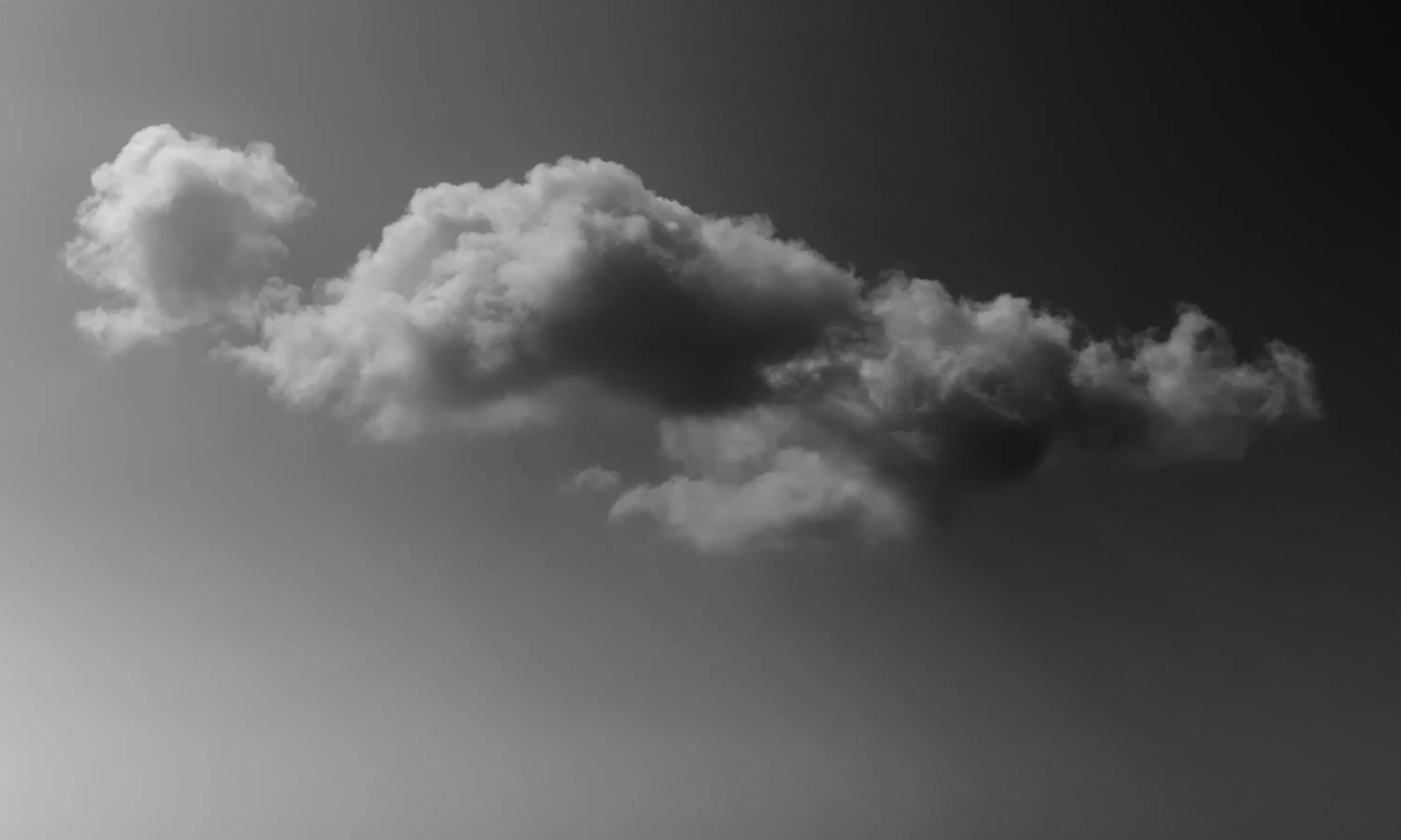 Black & White Gallery - Picture 8